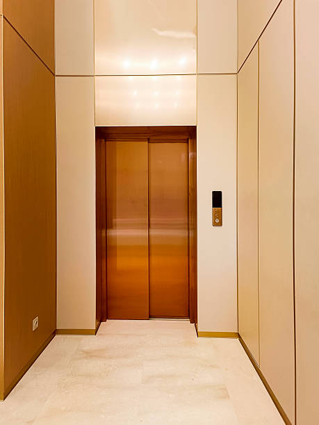 Raya Home Lift gallery image